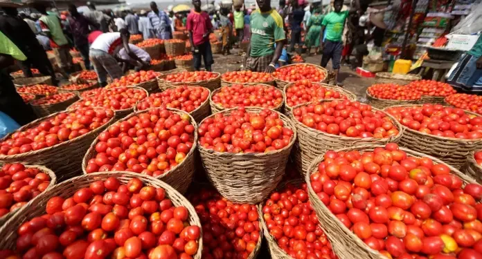 Vegetable exporters demand coordinated response over Burkina Faso tomato ban