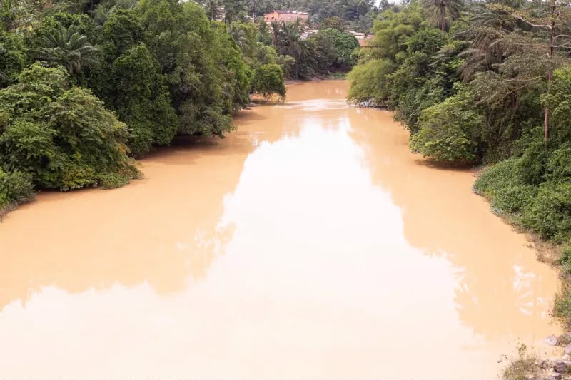 Aide to Tano North MCE calls on NAIMOS to be proactive in fighting galamsey