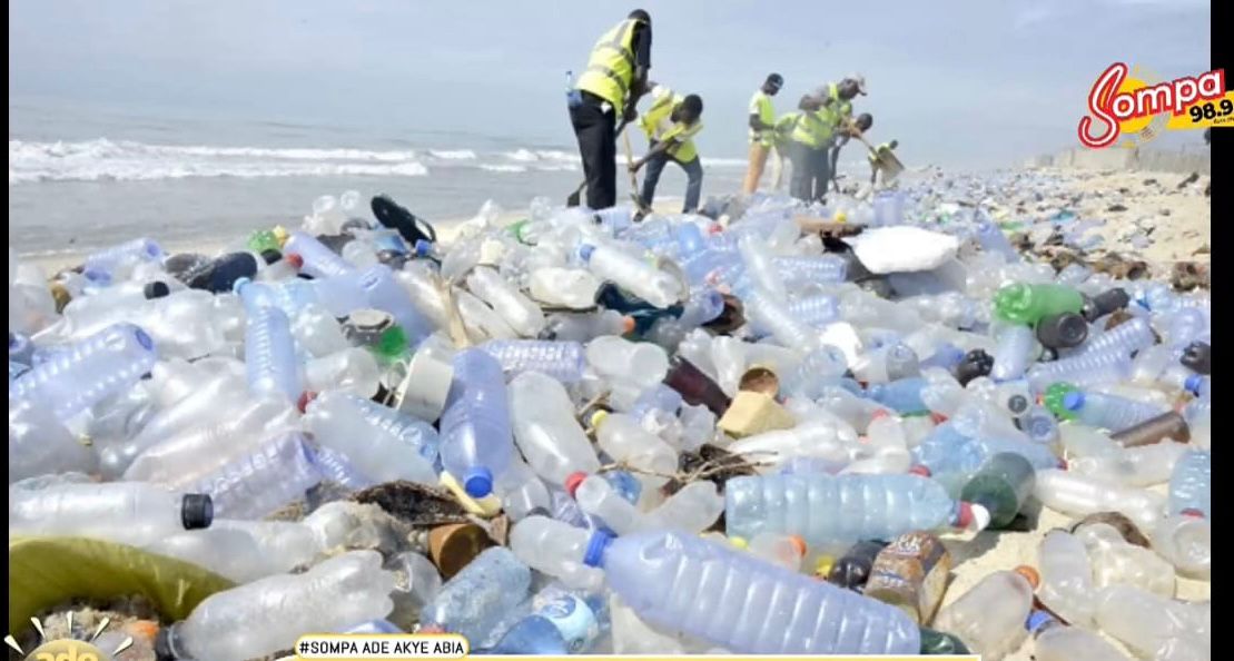 Xpert cautions use of plastic materials for food packaging