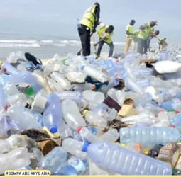Xpert cautions use of plastic materials for food packaging