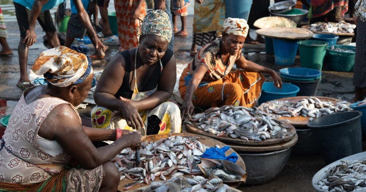 Recounting Losses: Light Fishing's Drive on Irregular Migration among Ghanaian Female Fishers over Mounting Debt