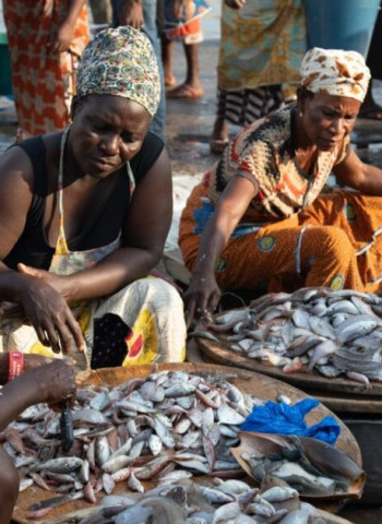 Recounting Losses: Light Fishing's Drive on Irregular Migration among Ghanaian Female Fishers over Mounting Debt