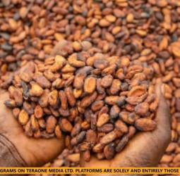 Cocoa farmers can now order arrest of defaulting LBCs, PCs-Association