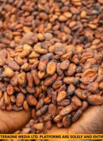 Cocoa farmers can now order arrest of defaulting LBCs, PCs-Association