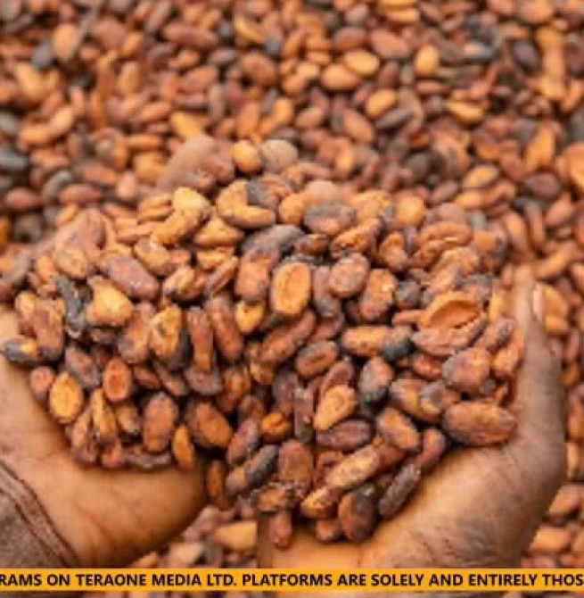 Cocoa farmers can now order arrest of defaulting LBCs, PCs-Association